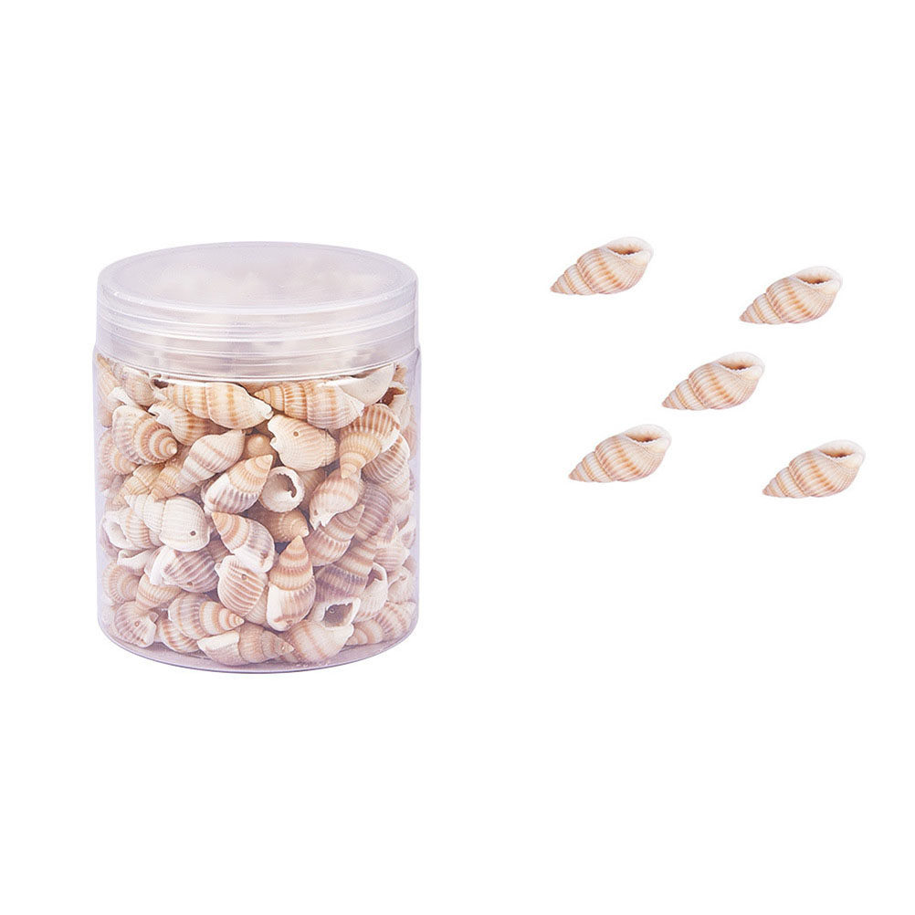 Art Craft Gallery - Mini Seashells Crafts Natural Sea Shell