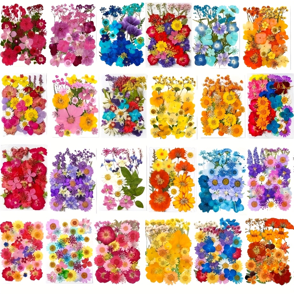 Art Craft Flower Making - 500pcs of Random Materials for Pressed