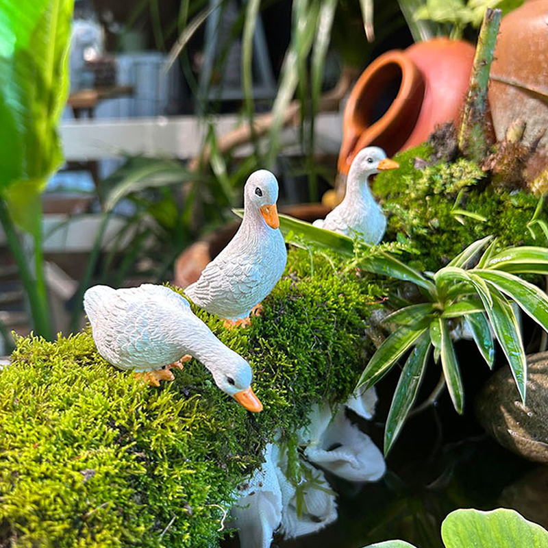 3pcs Cute White Duck Hydroponi – обзор и цена Art Craft Duck