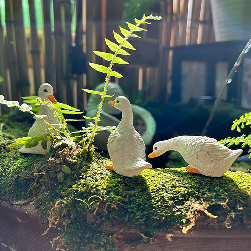 3pcs Cute White Duck Hydroponi – обзор и цена Art Craft Duck