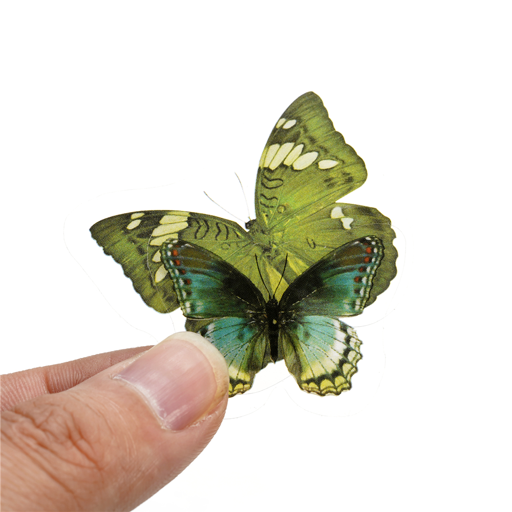 40pcs Colorful Butterfly Wings – обзор и цена Art Craft Butterfly